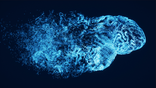 What Are Nootropics?